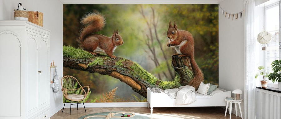 PHOTOWALL / Red Squirrels (e332598)
