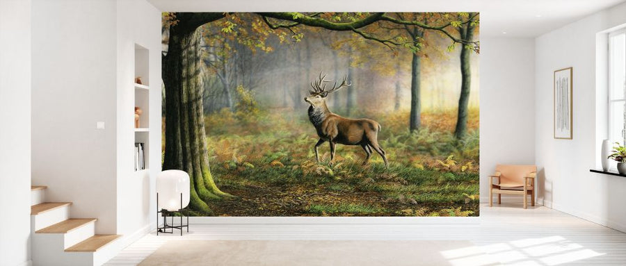PHOTOWALL / Red Stag (e332599)