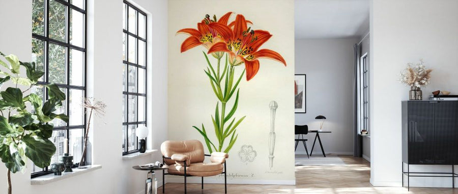 PHOTOWALL / Western Red Lily (e332601)
