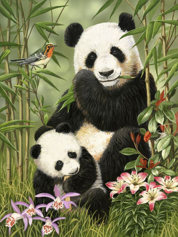 PHOTOWALL / Panda Art (e332607)