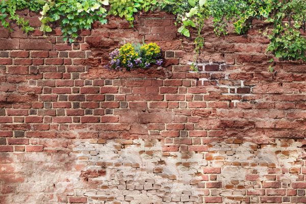PHOTOWALL / Lush Brick Wall (e333021)