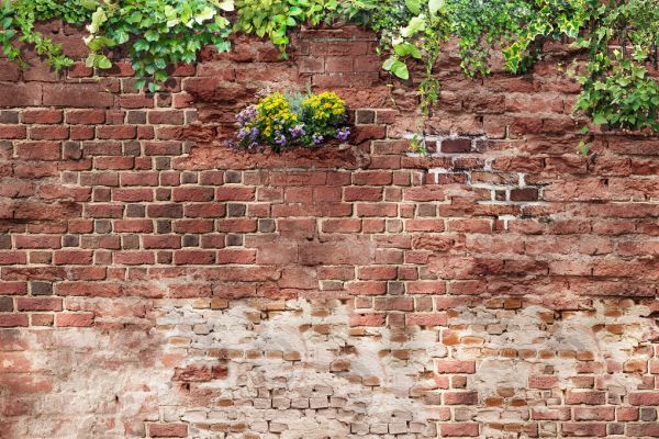 PHOTOWALL / Lush Brick Wall (e333021)