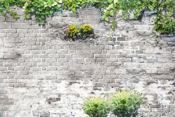 PHOTOWALL / Lush Brick Wall II (e333022)