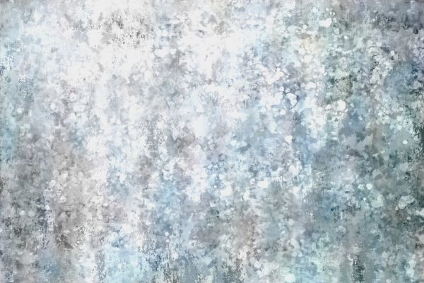 PHOTOWALL / Silver Disorder (e333025)