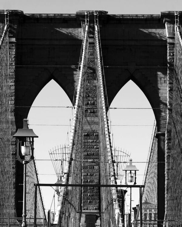PHOTOWALL / Bridges of NYC (e333059)