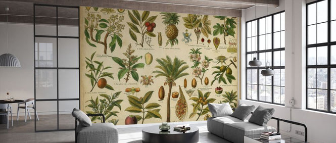 PHOTOWALL / Classification Tropical Plants (e333060)