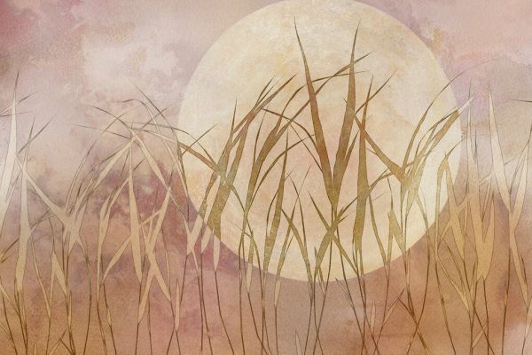 PHOTOWALL / Moonlight Grass (e333213)