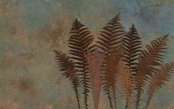 PHOTOWALL / Rusty Fern Leaves (e333215)