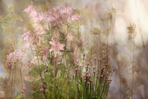 PHOTOWALL / Summer Mood II (e333217)