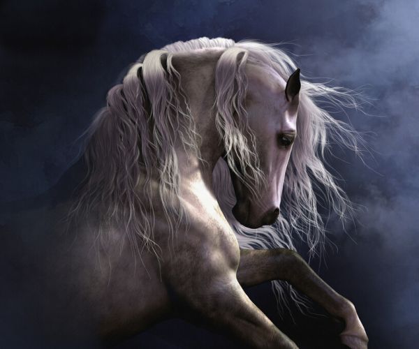 PHOTOWALL / Silver Ghost (e333259)