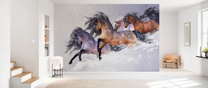 PHOTOWALL / Winters Flight (e333280)