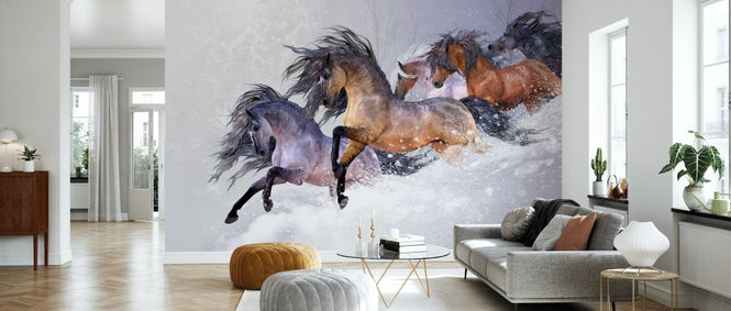 PHOTOWALL / Winters Flight (e333280)