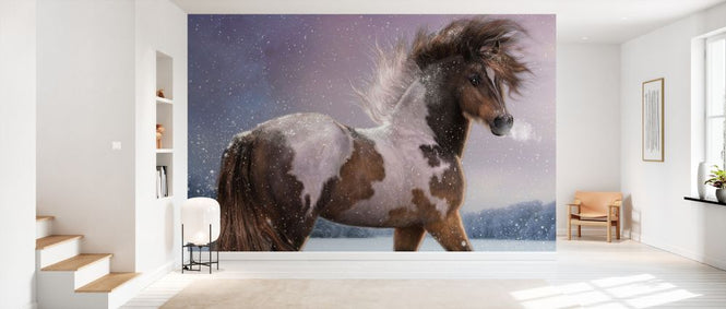 PHOTOWALL / Winters Heart (e333281)