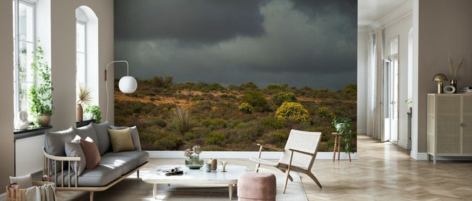 PHOTOWALL / Desert Landscape (e333781)