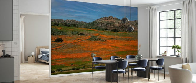 PHOTOWALL / Namaqualand Flowers (e333783)