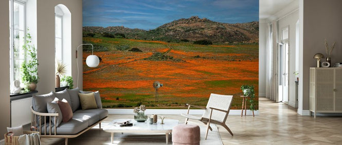 PHOTOWALL / Namaqualand Flowers (e333783)