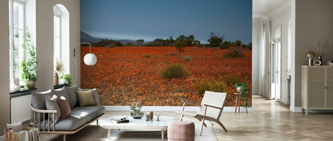 PHOTOWALL / Orange Field of Flowers (e333803)
