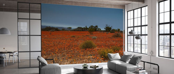 PHOTOWALL / Orange Field of Flowers (e333803)