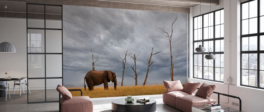 PHOTOWALL / Elephant Landscape (e333804)