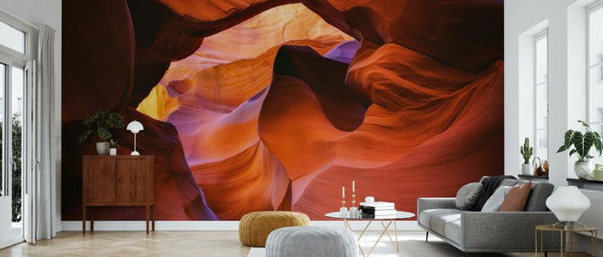 PHOTOWALL / Winding Passage (e333697)