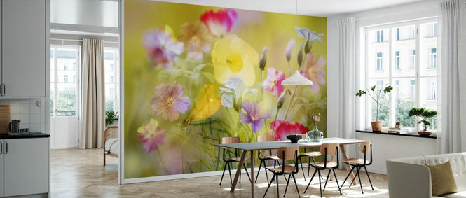 PHOTOWALL / Tiny Garden in a Summer Field (e333702)