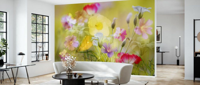 PHOTOWALL / Tiny Garden in a Summer Field (e333702)