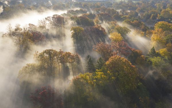 PHOTOWALL / Colour of Autumn (e333704)