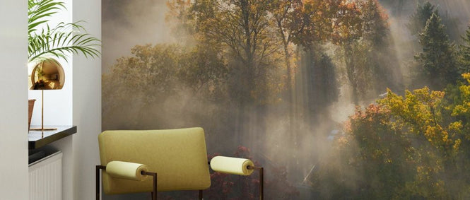 PHOTOWALL / Colour of Autumn (e333704)
