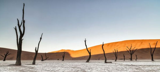 PHOTOWALL / Namibian Desert (e333712)