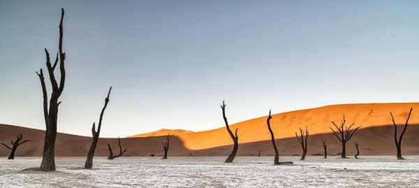 PHOTOWALL / Namibian Desert (e333712)