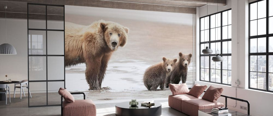PHOTOWALL / Momma Bear and Cubs (e333722)