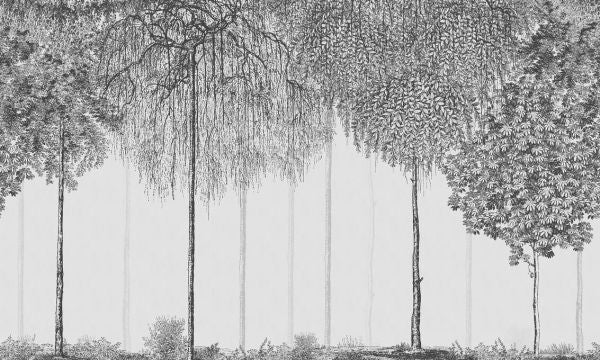 PHOTOWALL / Trees Cascade - Graphite (e333871)