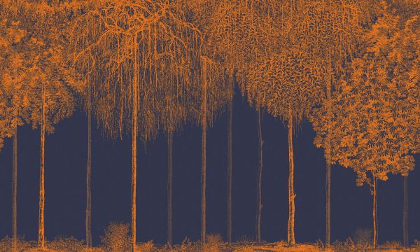 PHOTOWALL / Trees Cascade - Harvest (e333872)