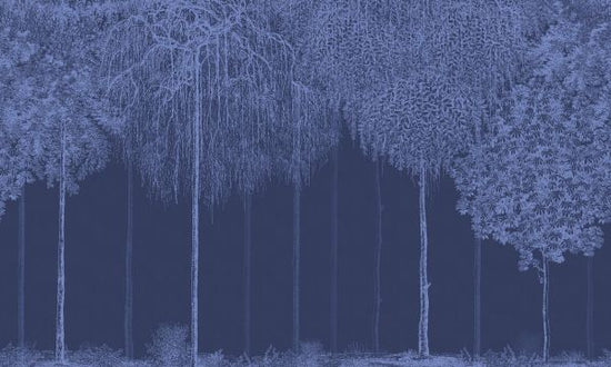 PHOTOWALL / Trees Cascade - Lazuli (e333875)