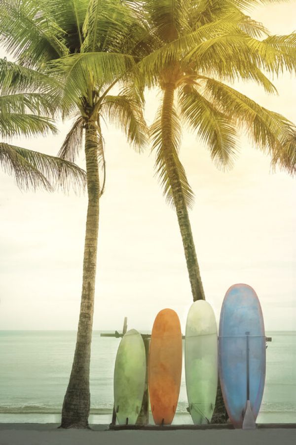 PHOTOWALL / Four Surfboards (e333687)