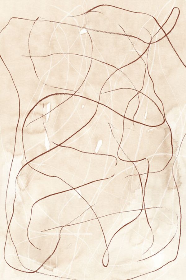 PHOTOWALL / Whimsy - Red Clay (e333908)