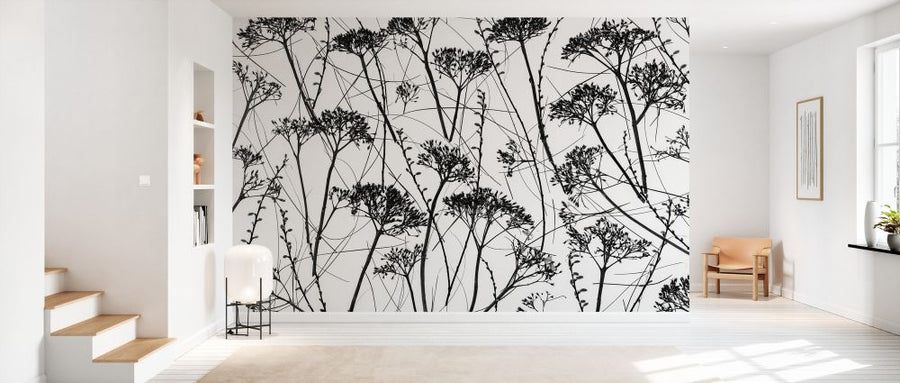 PHOTOWALL / Silhouette of Dried Plants (e333932)