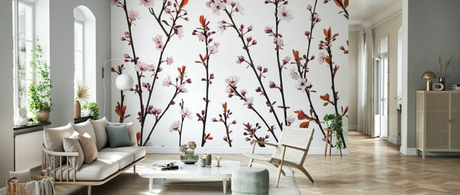 PHOTOWALL / Twigs of Cherry Plant II (e333936)