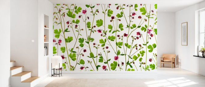 PHOTOWALL / Columbine Aquilegia Flowers (e333944)