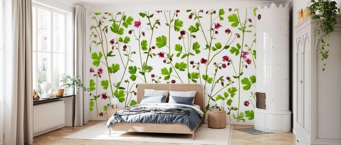 PHOTOWALL / Columbine Aquilegia Flowers (e333944)