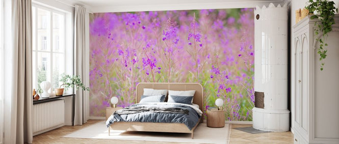 PHOTOWALL / Meadow Flowers (e333956)
