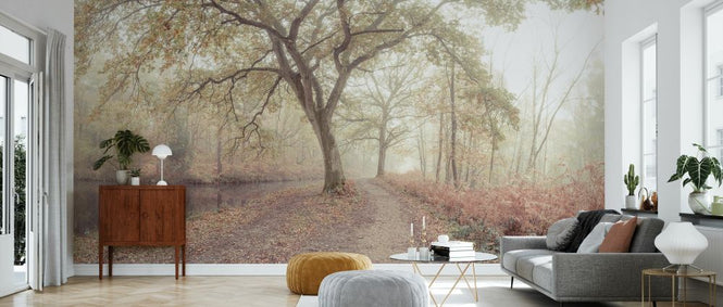 PHOTOWALL / Misty Forest II (e333962)