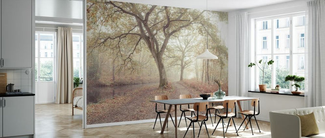 PHOTOWALL / Misty Forest II (e333962)