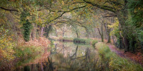 PHOTOWALL / Canal through Forest II (e333965)