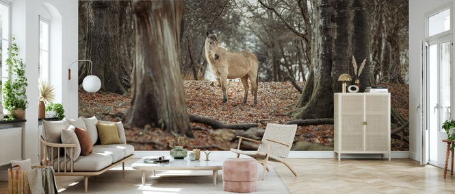 PHOTOWALL / Horse in Forest (e333971)