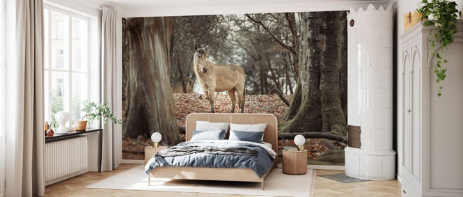 PHOTOWALL / Horse in Forest (e333971)