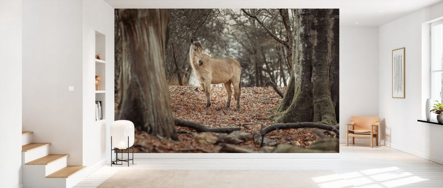 PHOTOWALL / Horse in Forest (e333971)