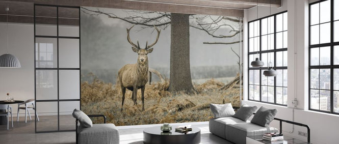 PHOTOWALL / Stag in the Forest (e333981)