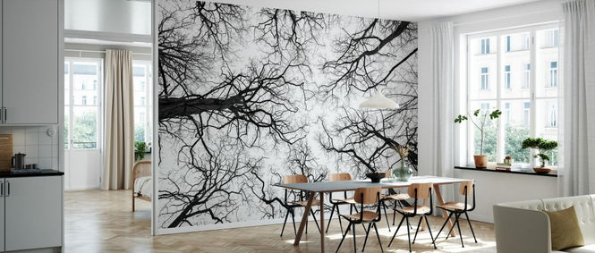 PHOTOWALL / Low Angle View of Tree Tops (e333982)