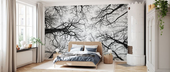 PHOTOWALL / Low Angle View of Tree Tops (e333982)